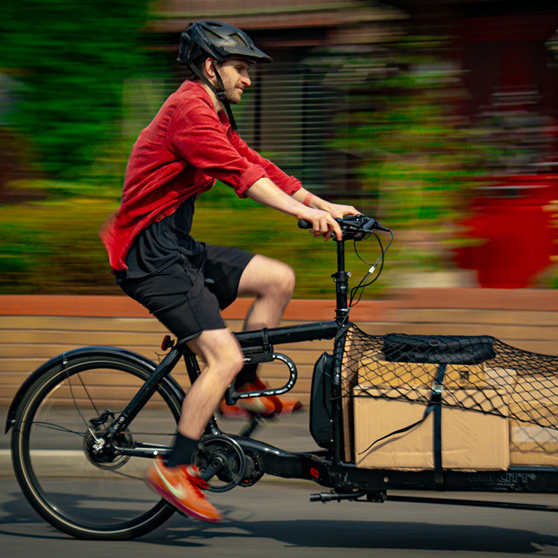Cargo Bike Locks