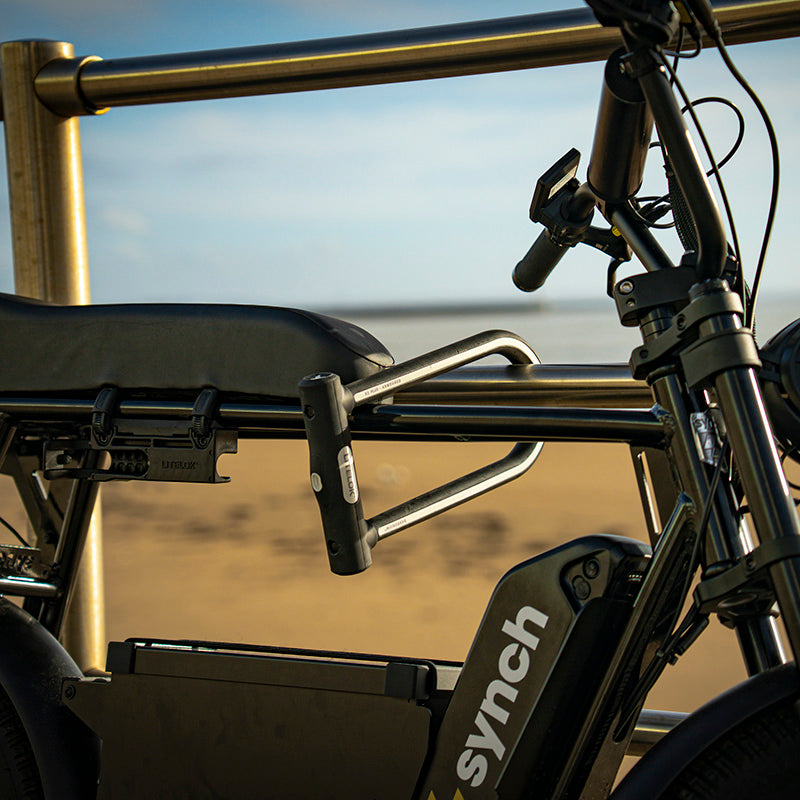 Supreme Reach Cargo Bike Bundle - X1 PLUS and CORE Plus 125